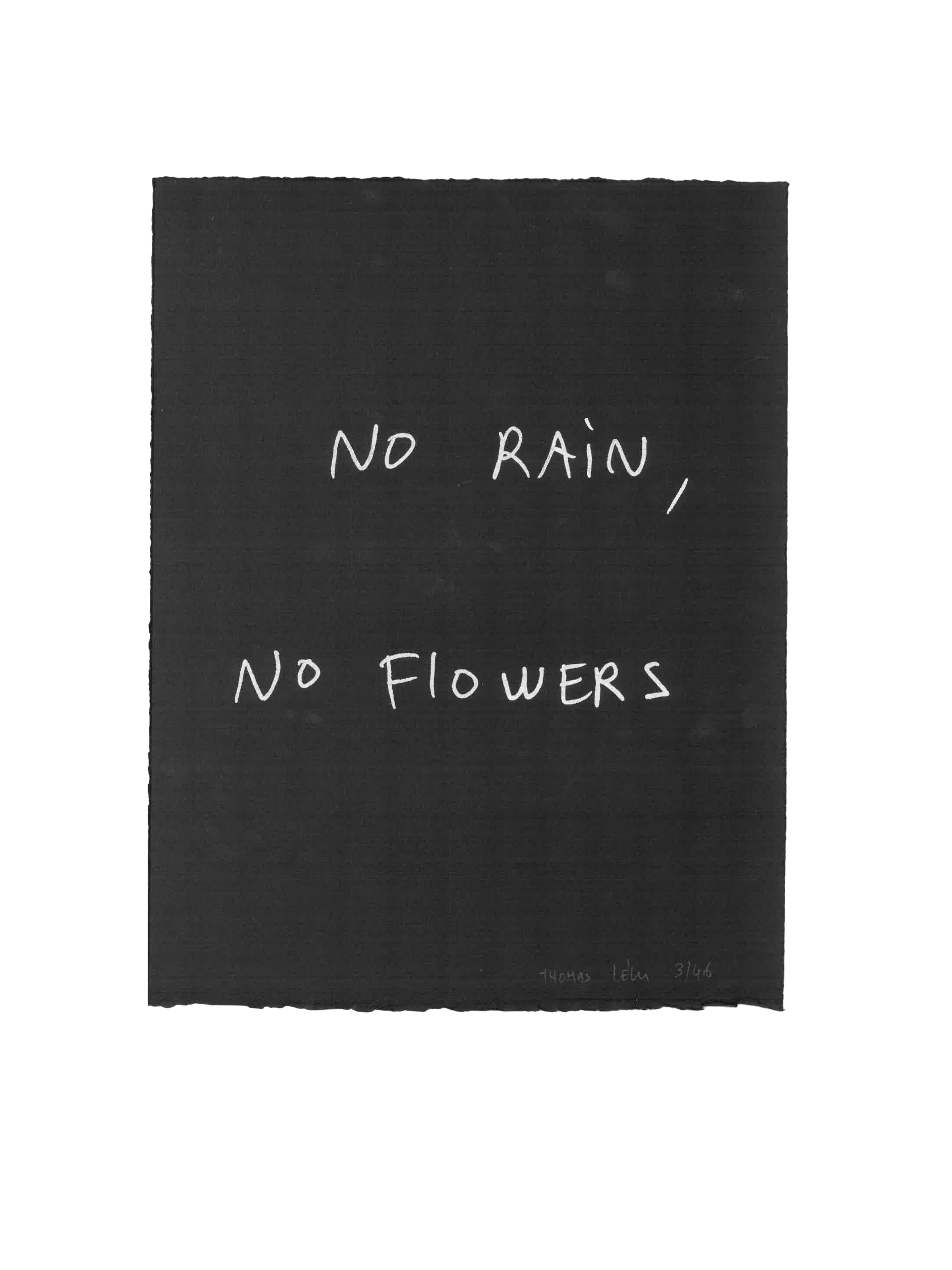 Serigrafia autografata "No rain, no flowers"