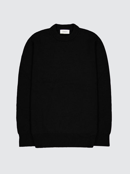 Merino Wool and Cashmere Crewneck Sweater