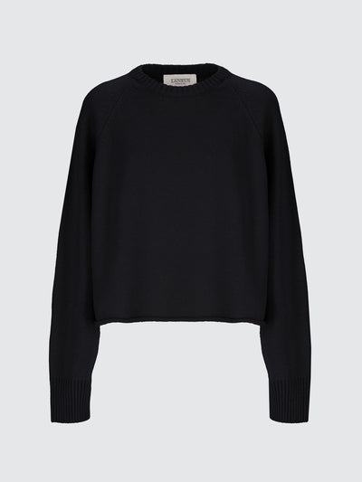 Wool and cashmere cropped jumper